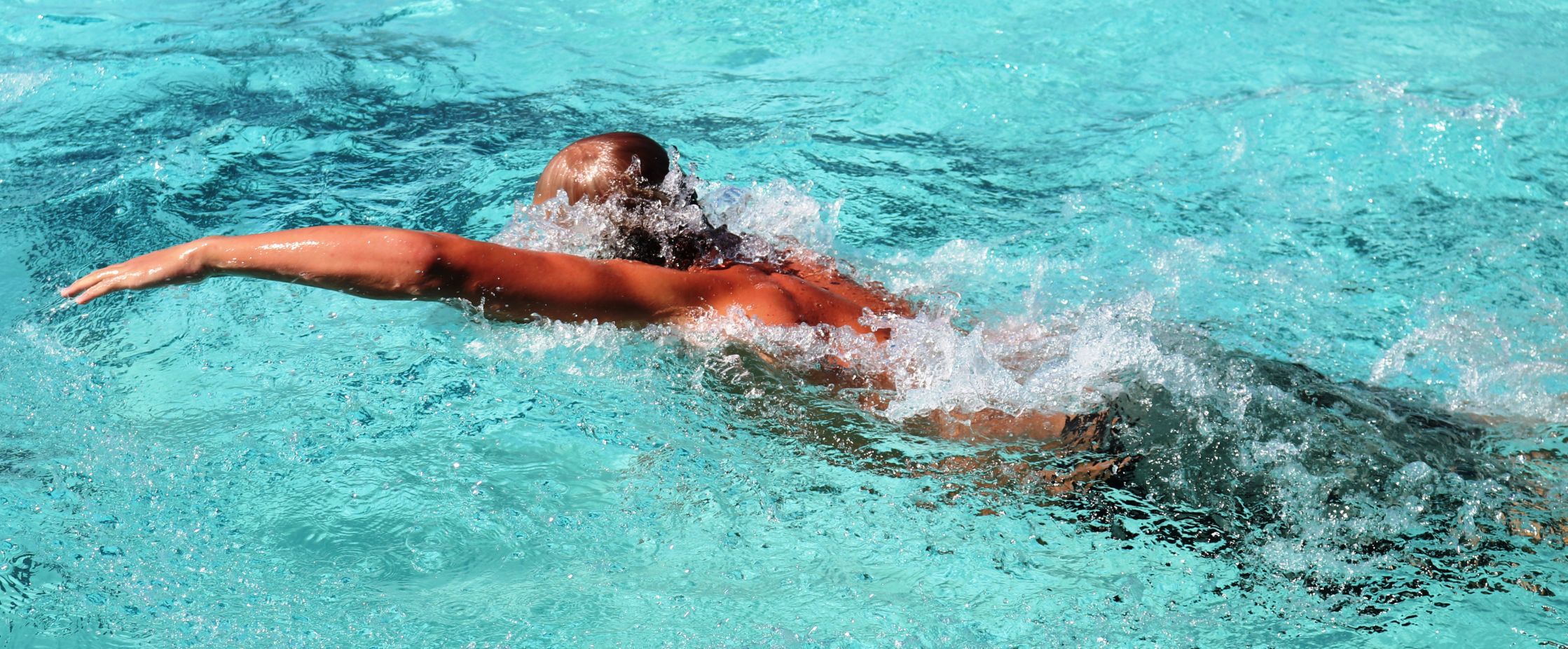 080818 SYHS WP 02 Haws.JPG